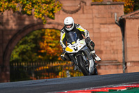 anglesey;brands-hatch;cadwell-park;croft;donington-park;enduro-digital-images;event-digital-images;eventdigitalimages;mallory;no-limits;oulton-park;peter-wileman-photography;racing-digital-images;silverstone;snetterton;trackday-digital-images;trackday-photos;vmcc-banbury-run;welsh-2-day-enduro